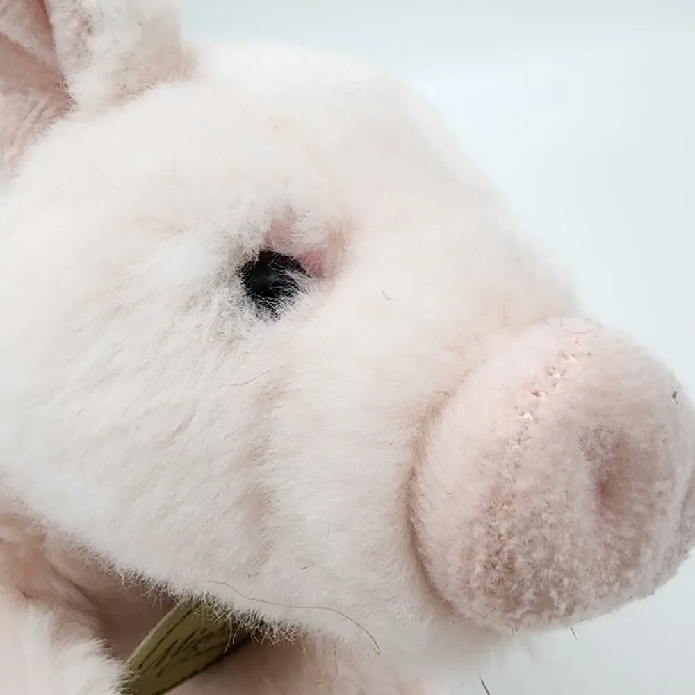 Aurora miyoni pig