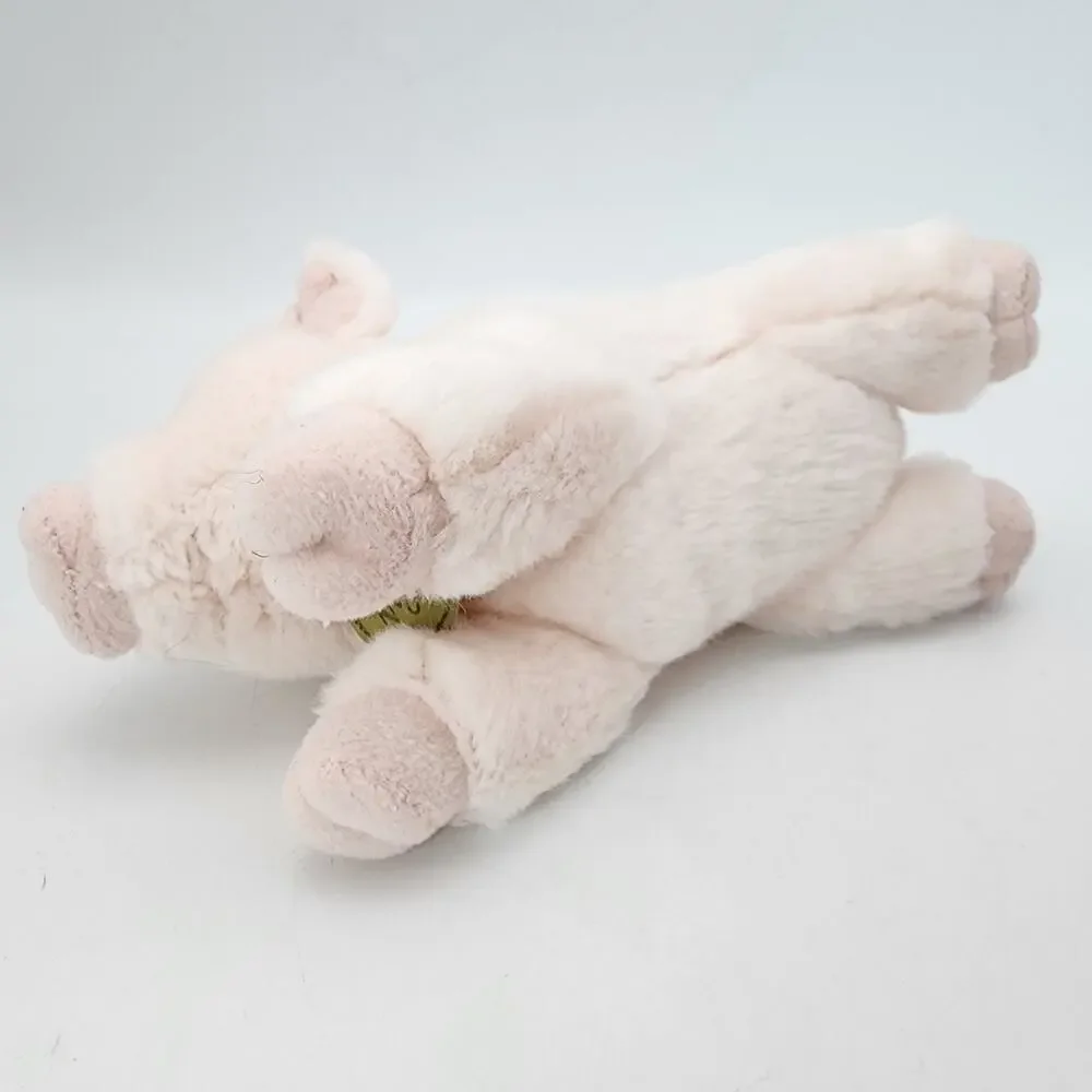 Aurora miyoni pig