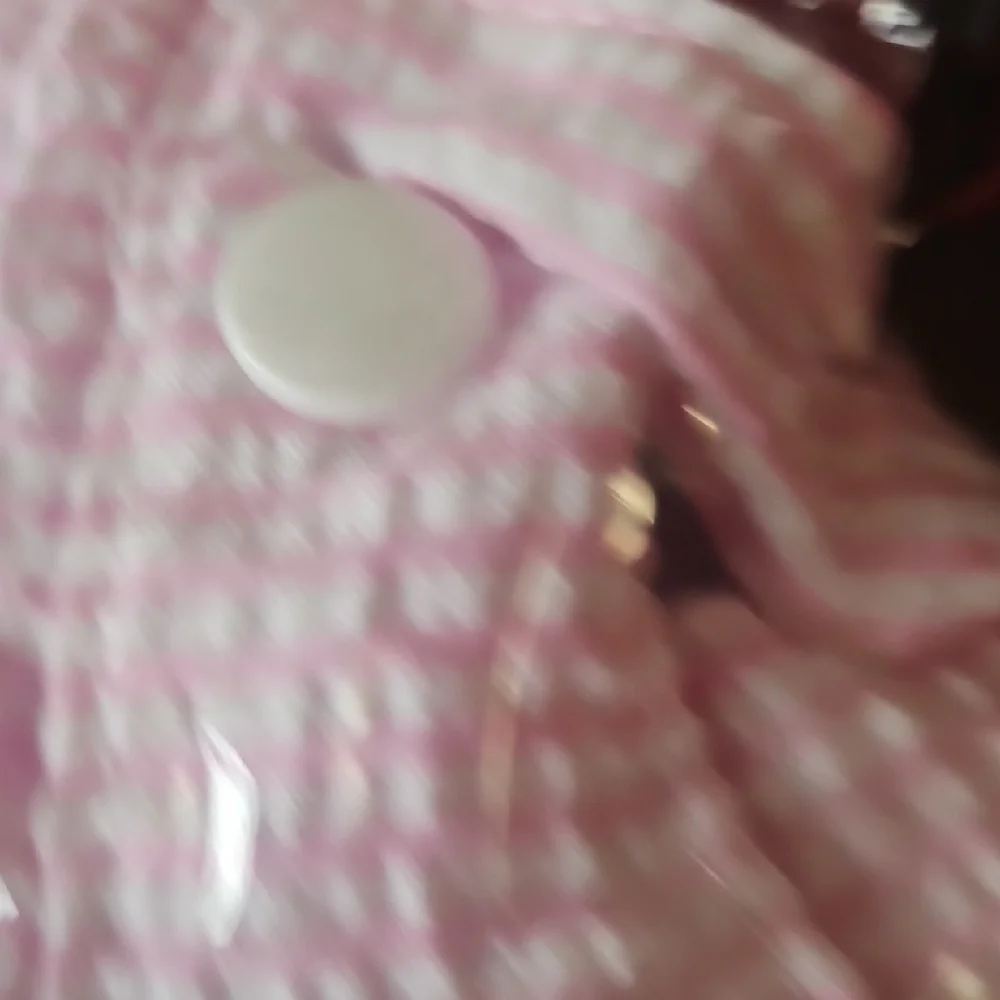 N/A dog dress