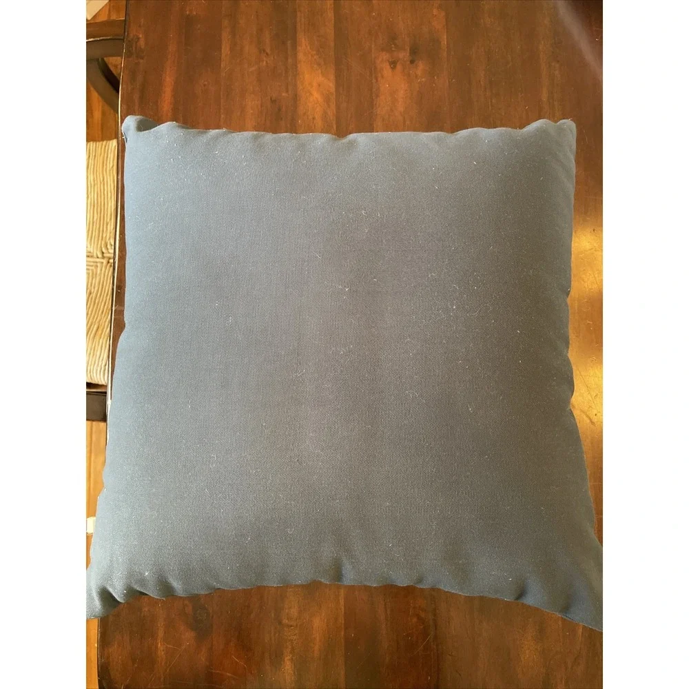 Pottery Barn‎ Outdoor Pillow 18