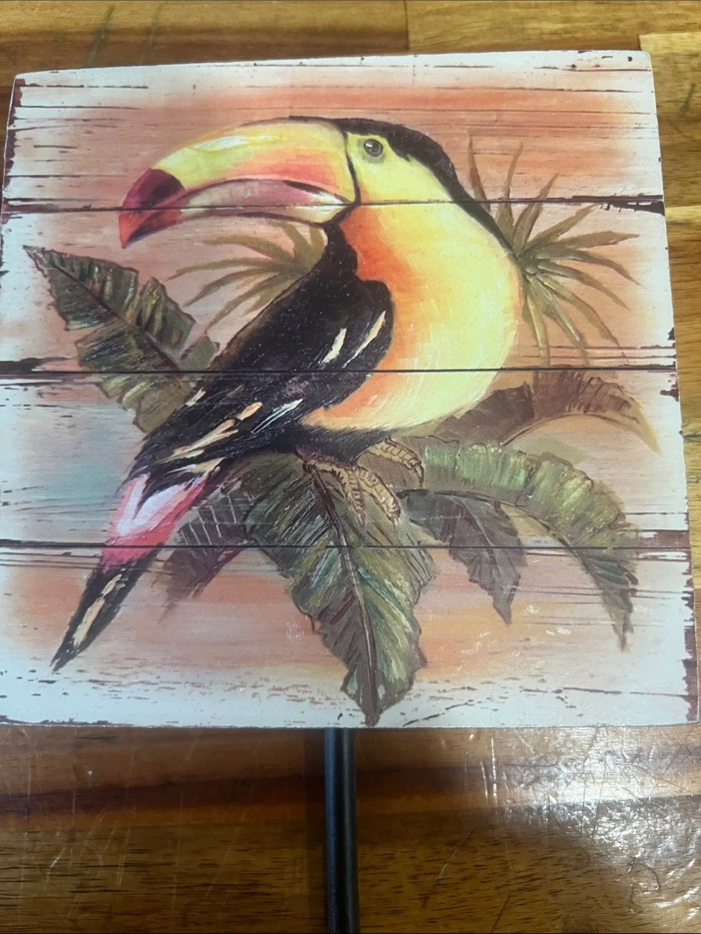 Toucan Tropical Wall Hook Coastal Jungle Decor