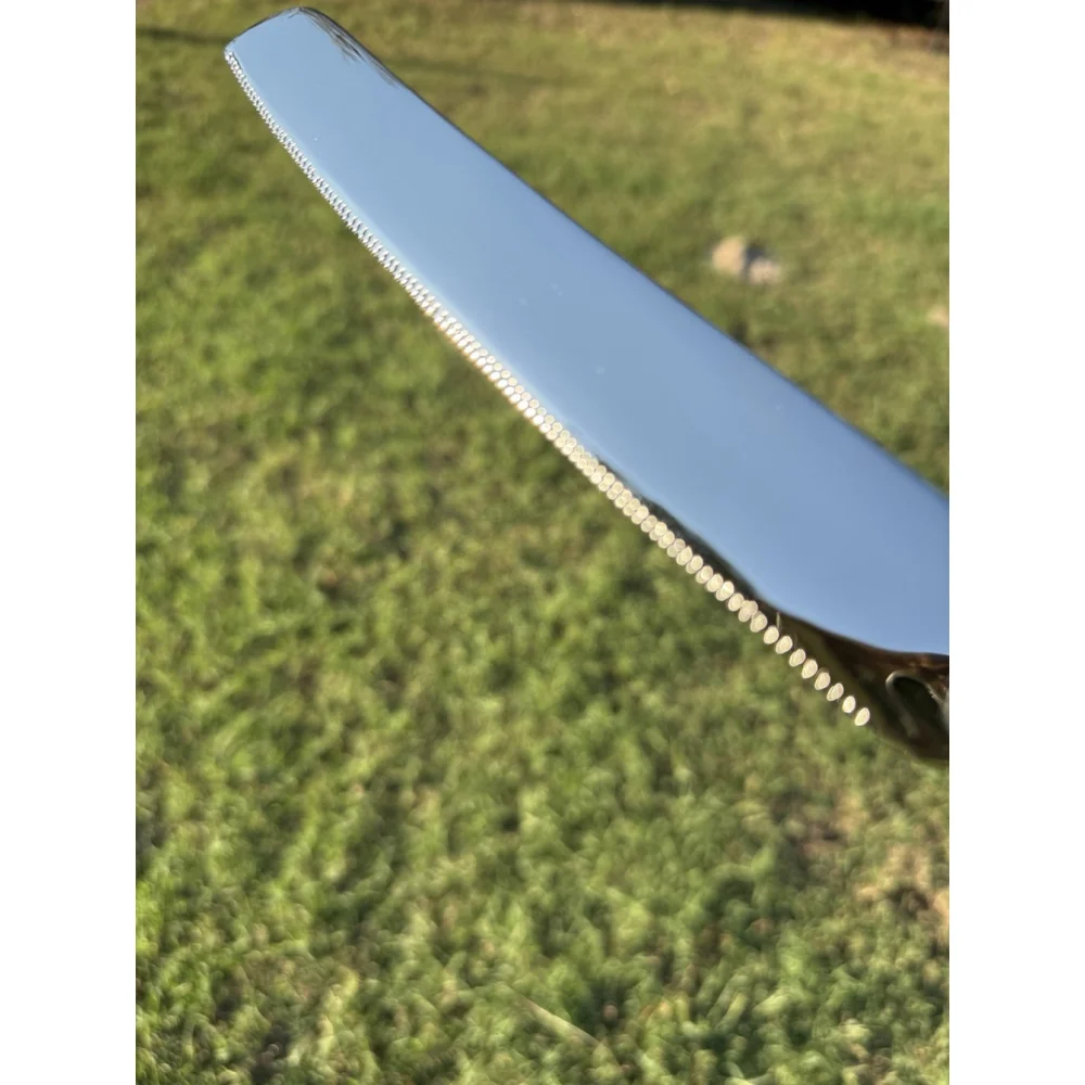 Lenox rare into back