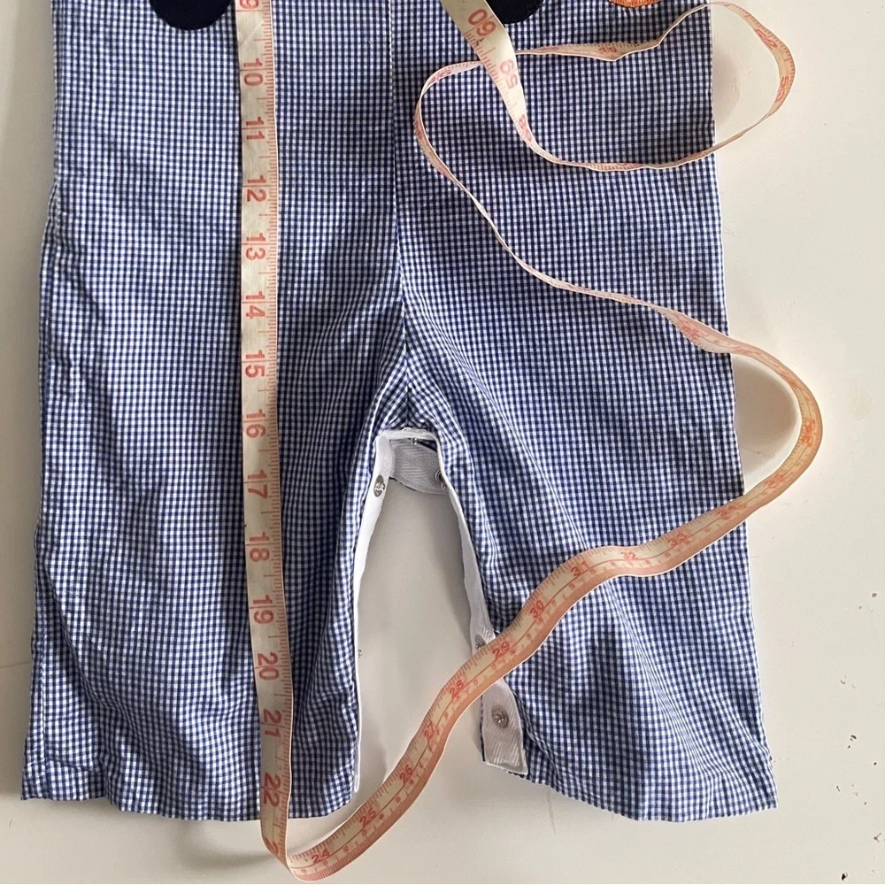 Funtasia Too Reversible 12mo Blue Checkered Overalls w/ Pumpkins & Turkey Design