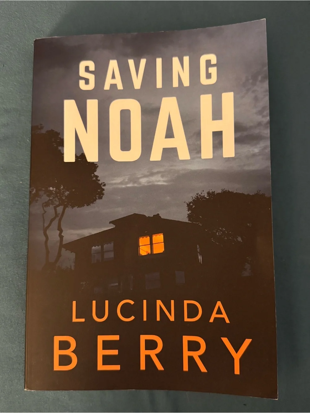 Saving Noah- paperback book by Lucinda Berry