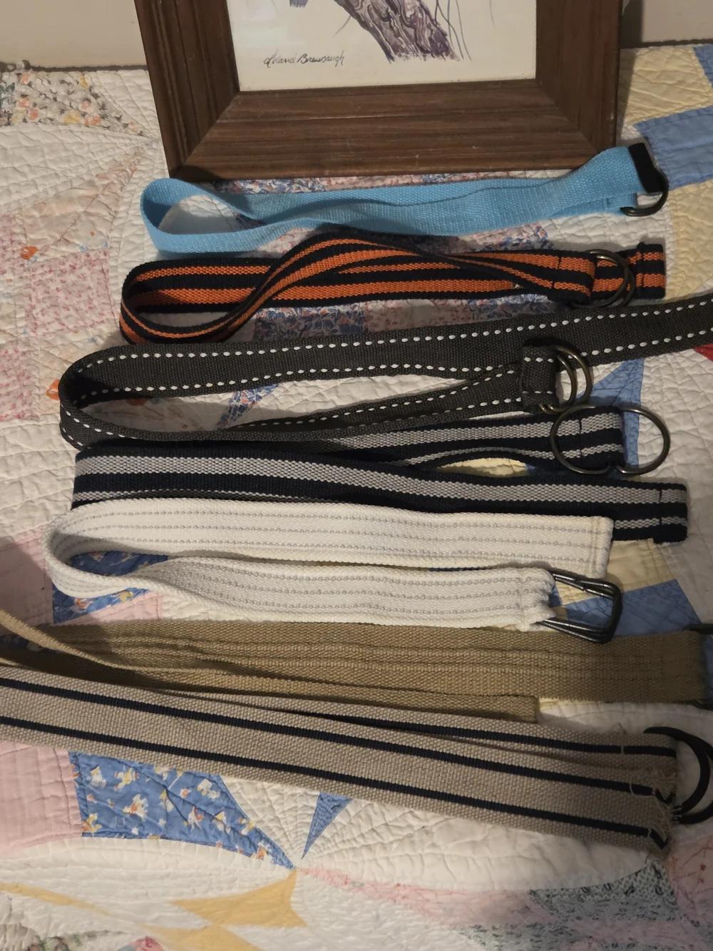 Assorted Fabric D-Ring Belts - Blue, Black, White, Tan Set Of 7 One Says Size 6