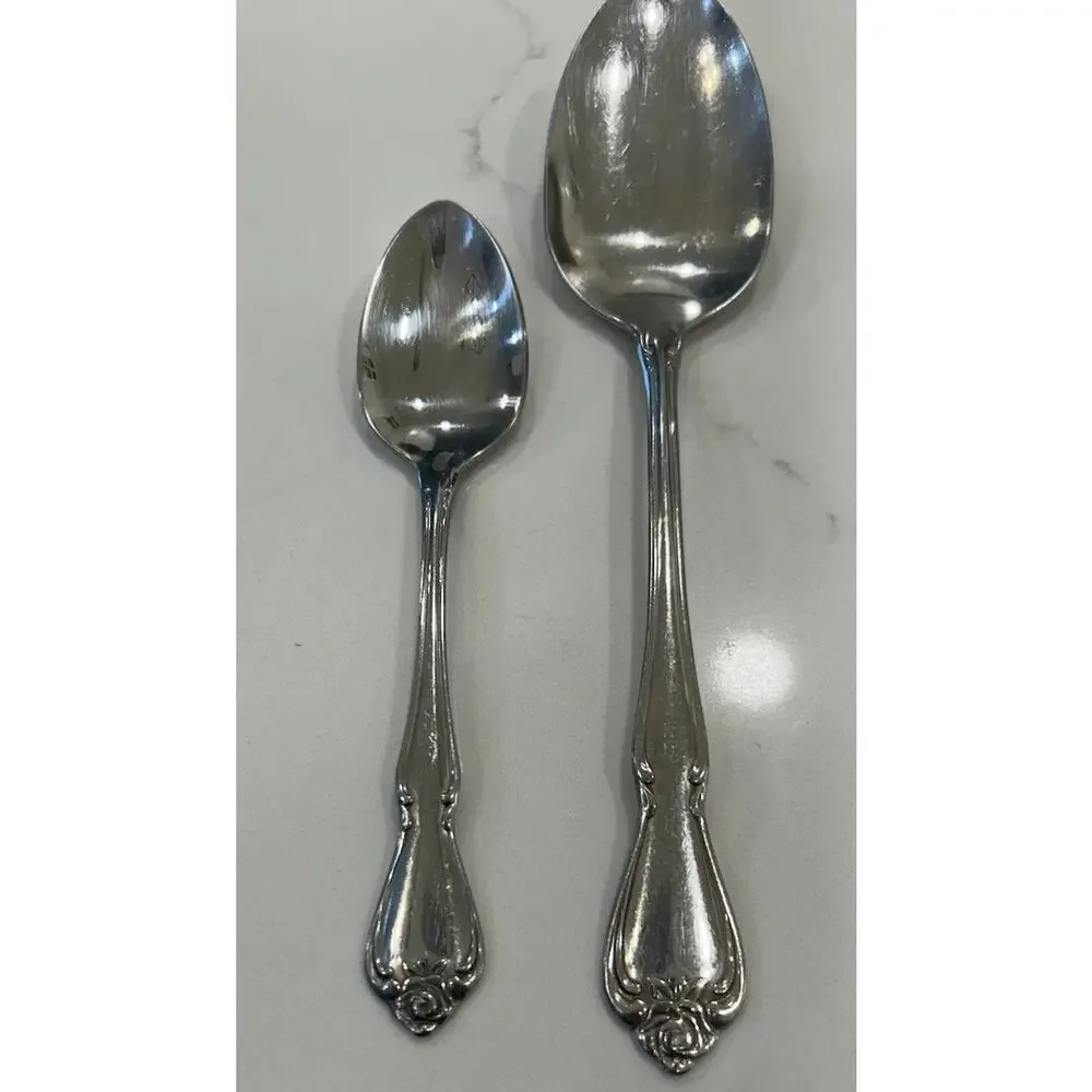 Vtg Oneida ARBOR ROSE/TRUE ROSE Stainless 1881 Rogers Ltd Serving & Small‎ Spoon