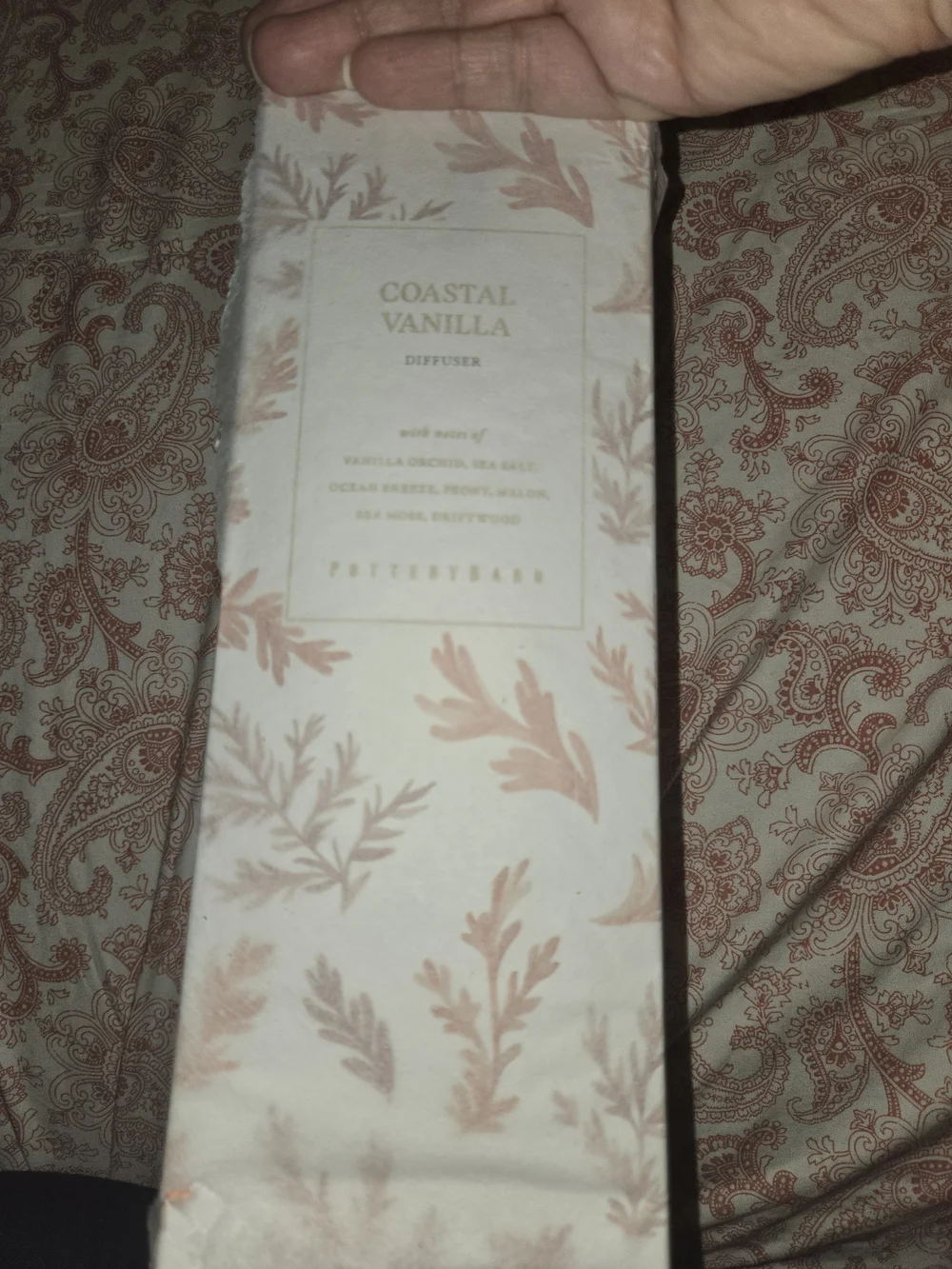 Pottery Barn Hand Painted Coastal Scent Collection Coastal Vanilla Reed Diffuser