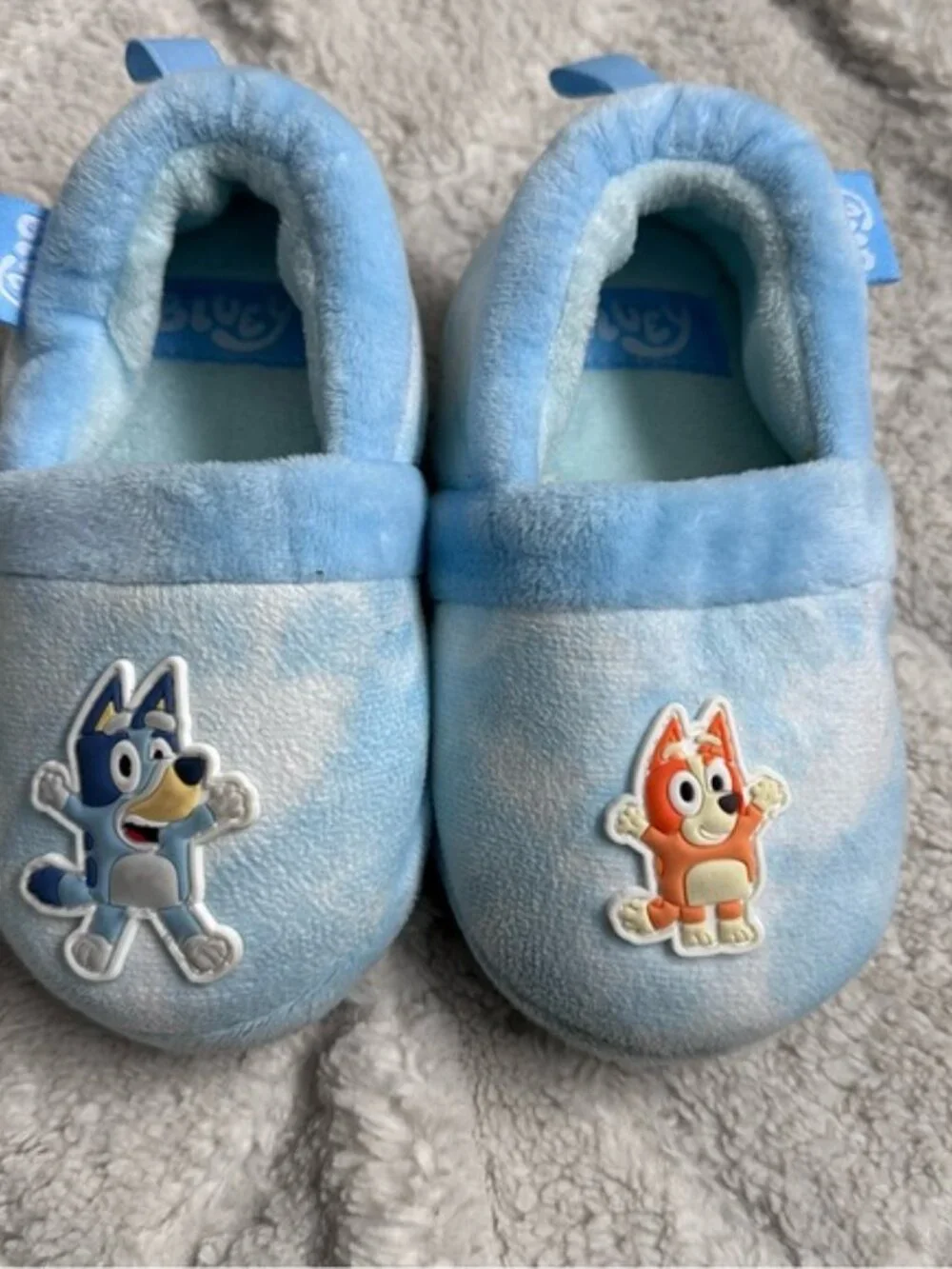 Bluey brand groundup