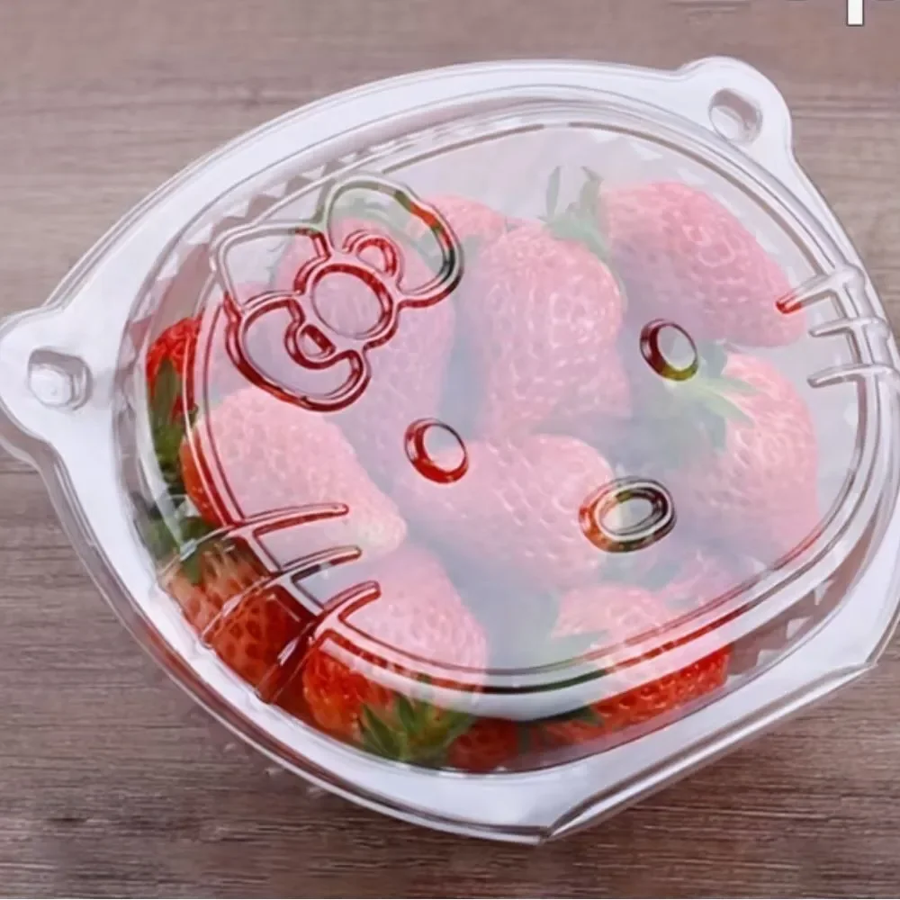Hello Kitty Plastic Reusable/Disposable Food Storage Containers 20 Pack