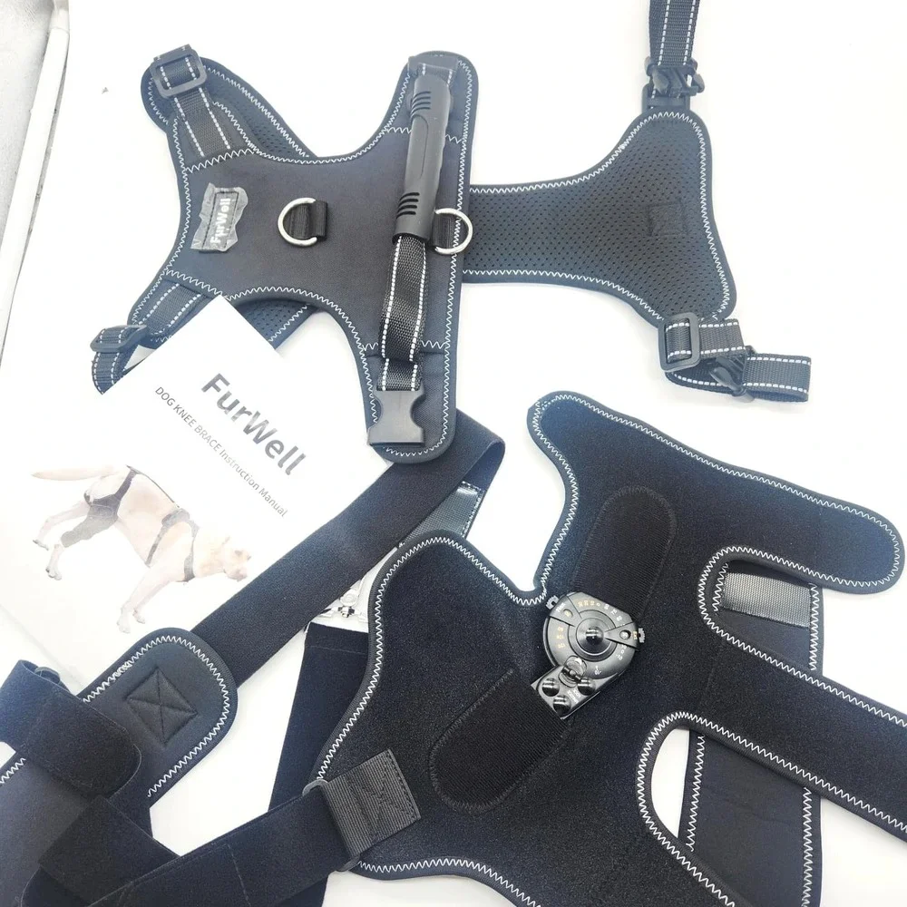 FurWell M will walking surgery