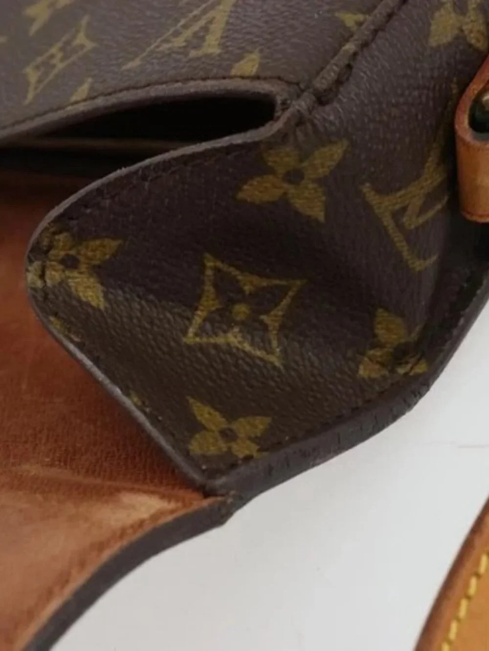 Louis Vuitton brand louis