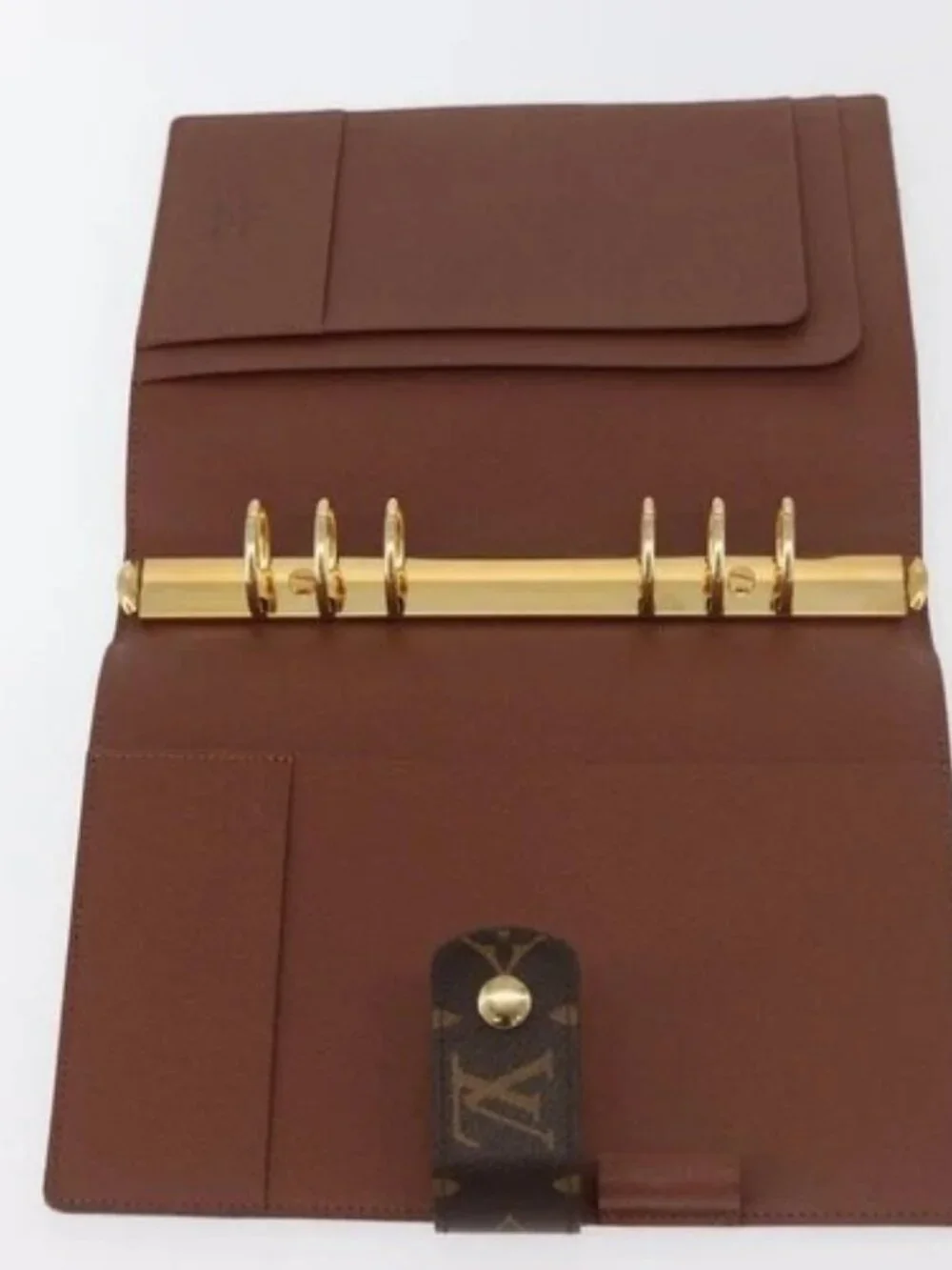 Louis Vuitton brand louis