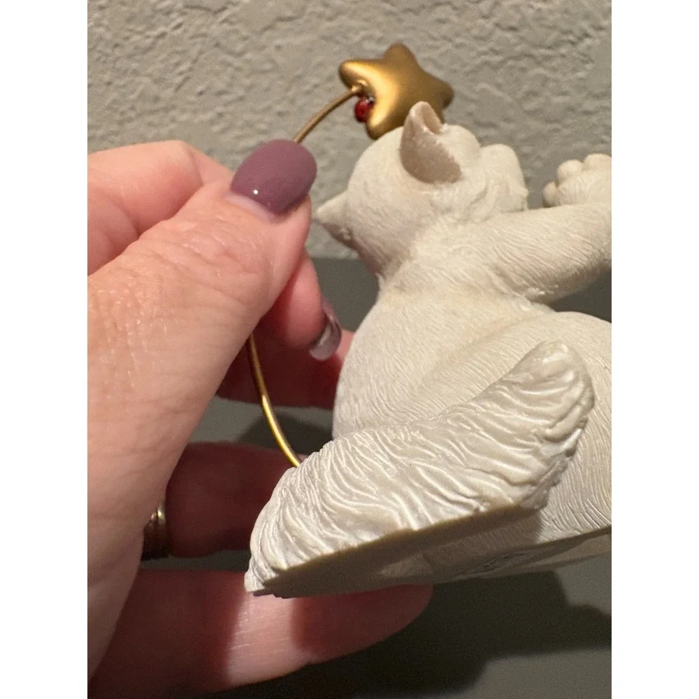 Cat stars manufacturer kitten
