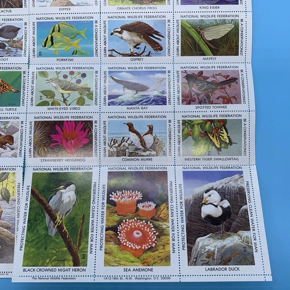 National Wildlife Federation federation national wildlife
