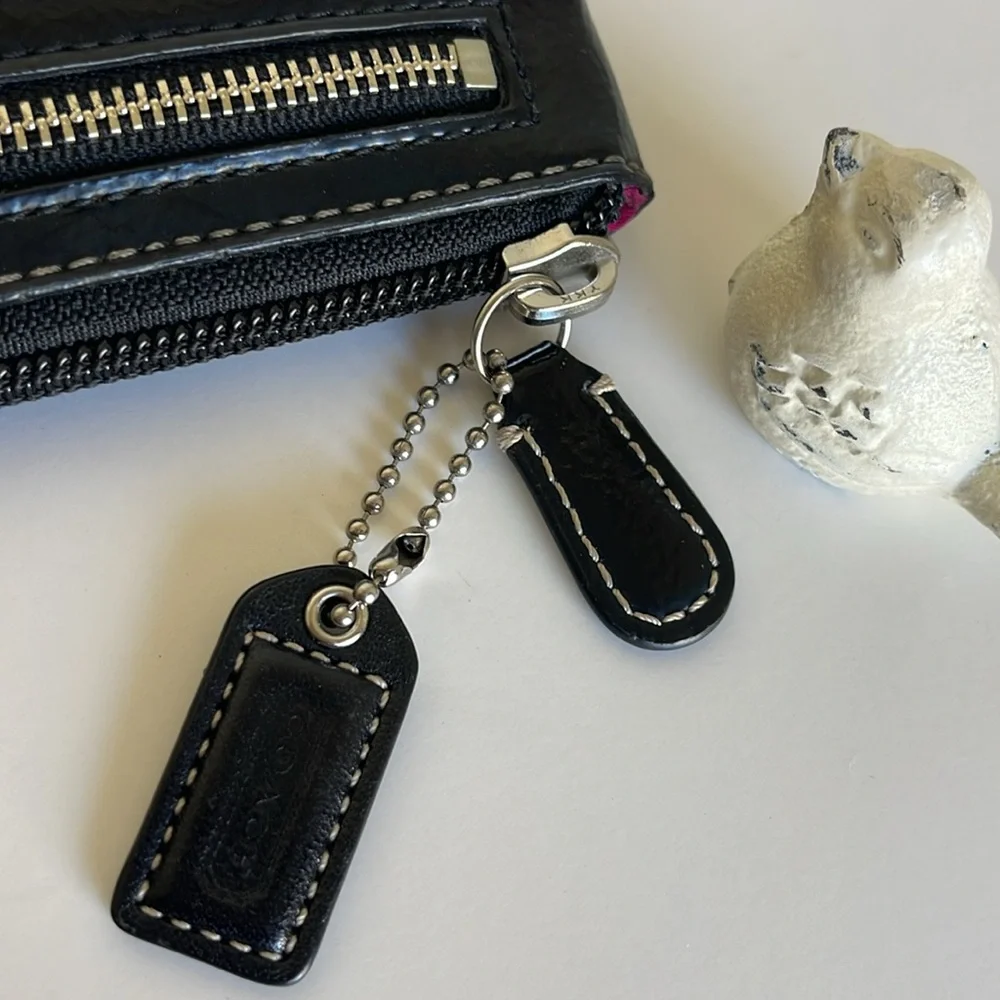COACH Poppy Large Pouch Clutch