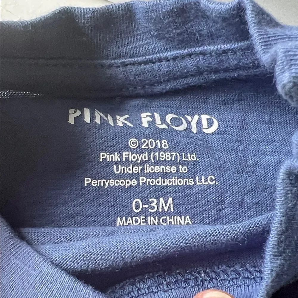 Pink Floyd features iconic