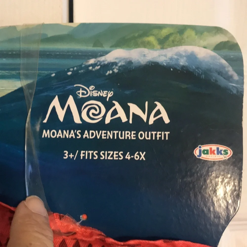 Disney costume place