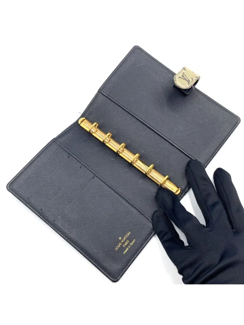 Louis Vuitton brand louis