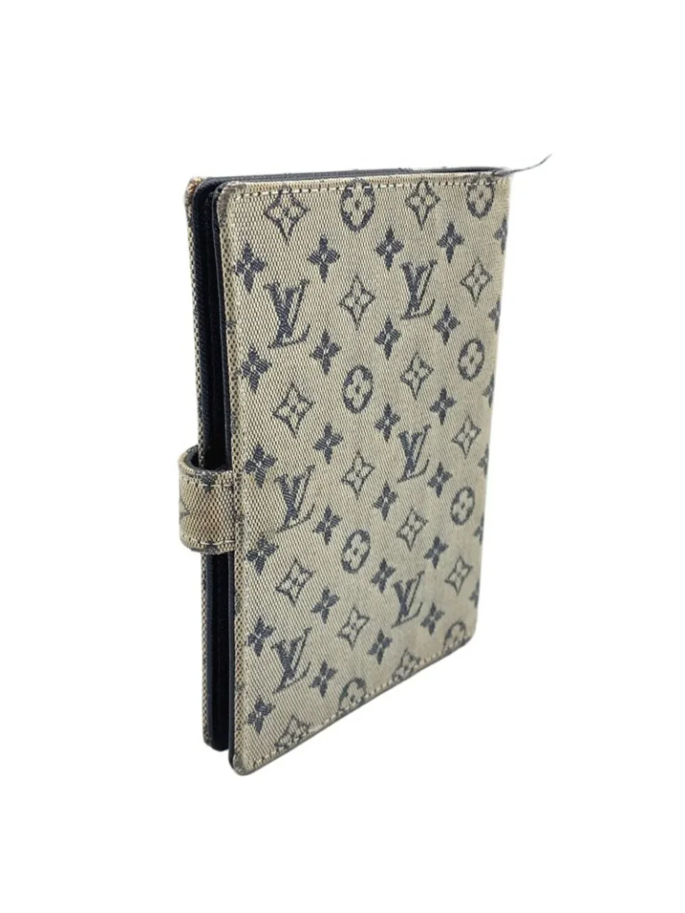 Louis Vuitton brand louis