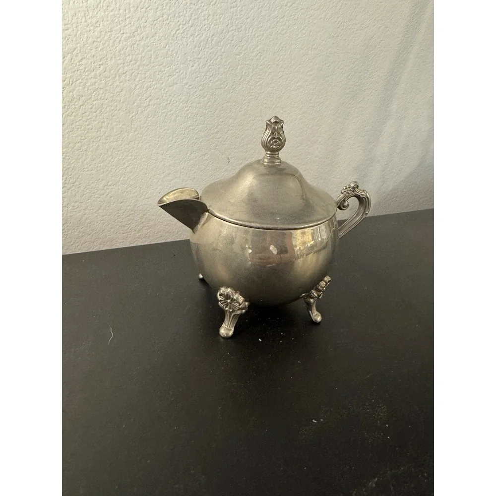 The Unbranded Brand vintage silver