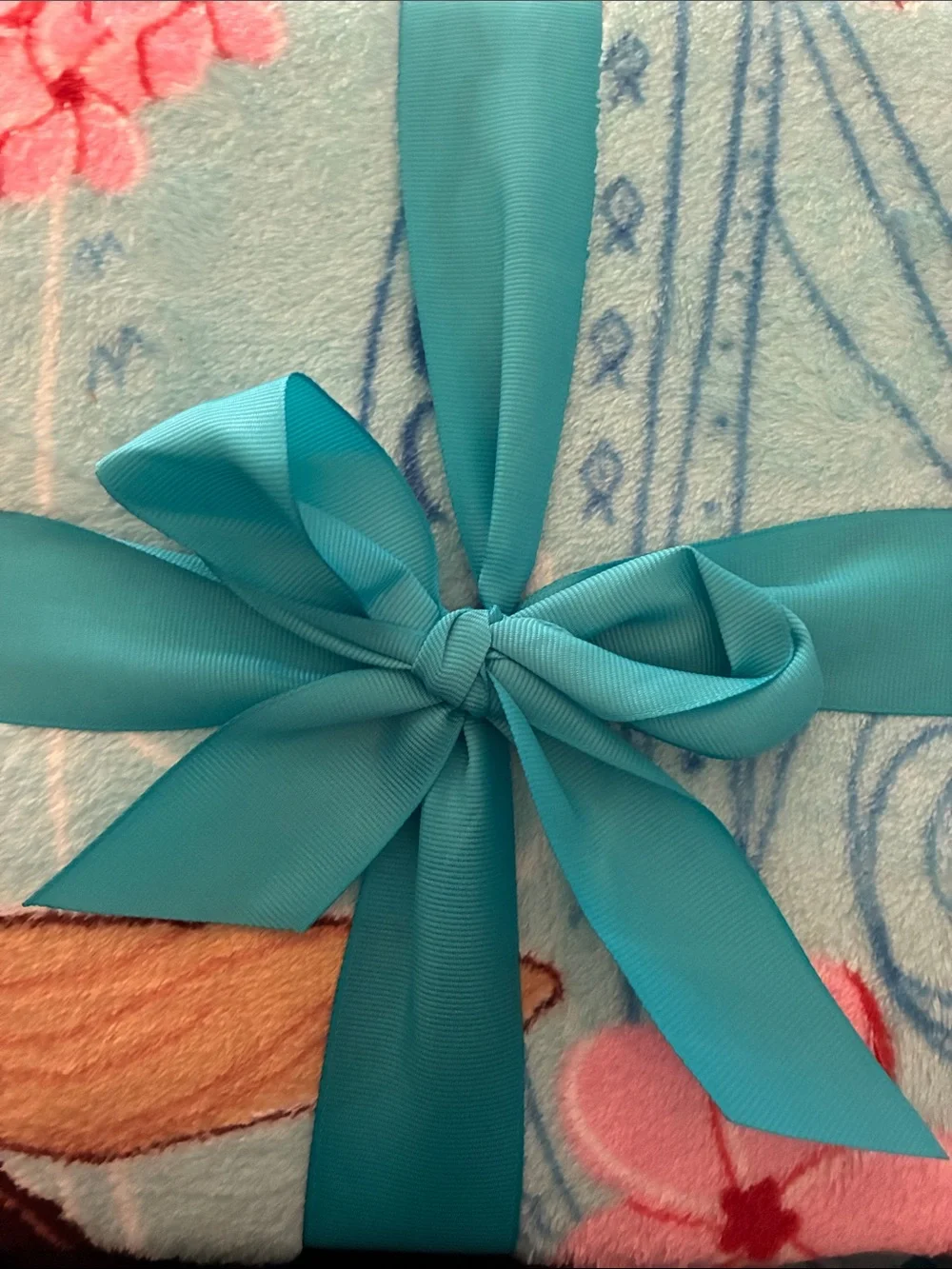 Disney themed throw