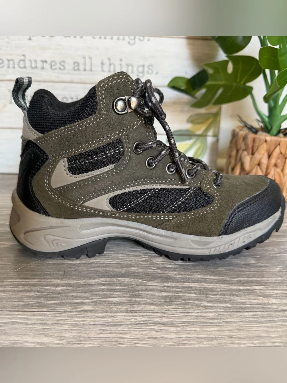Denali boot theme