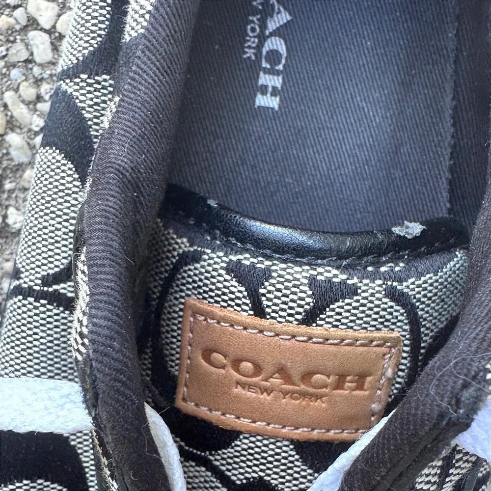 Coach classic early
