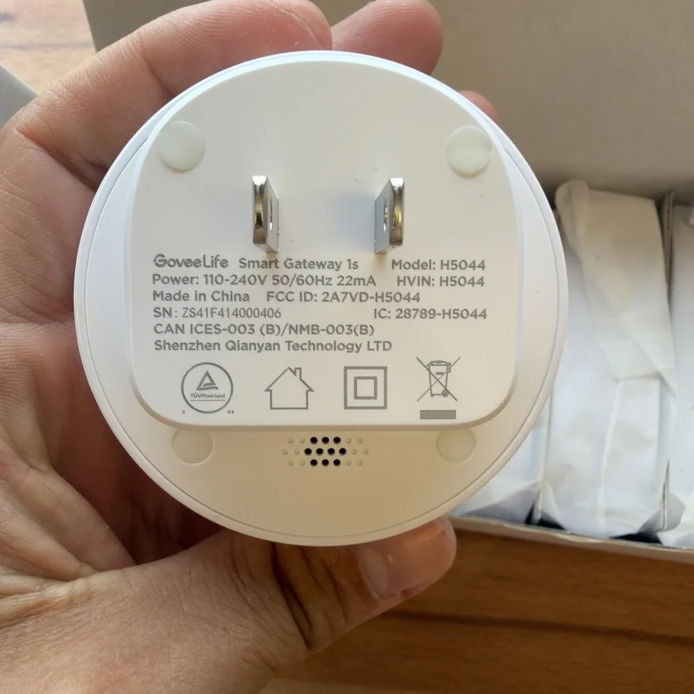 Govee surveillance product