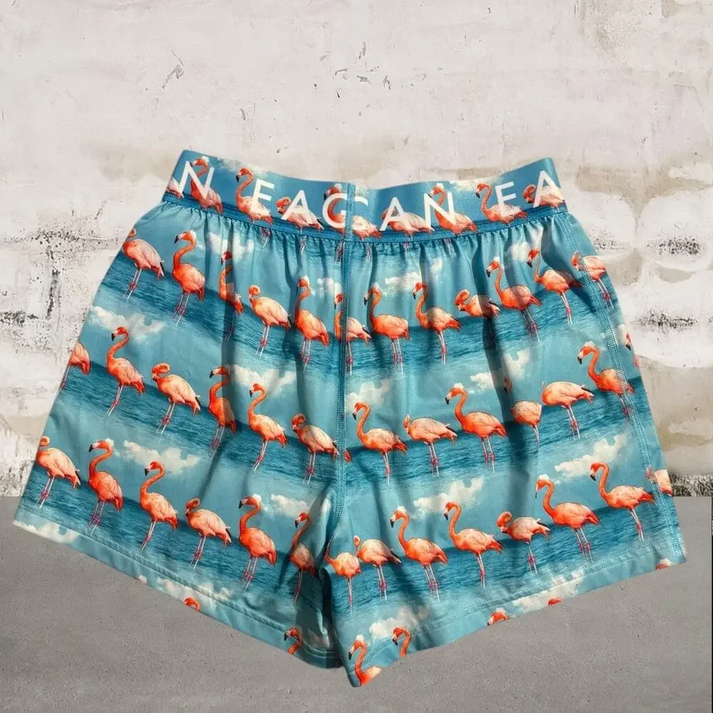 American Eagle NWOT Flamingo's Boxer Flex Briefs Size Small