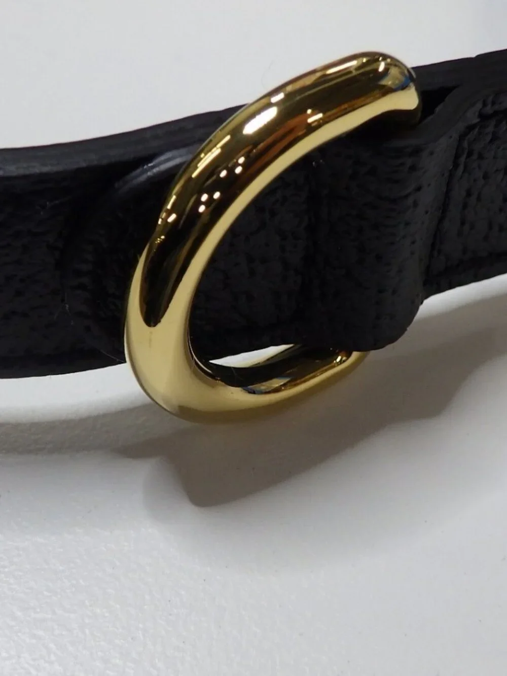 Gucci dog collar