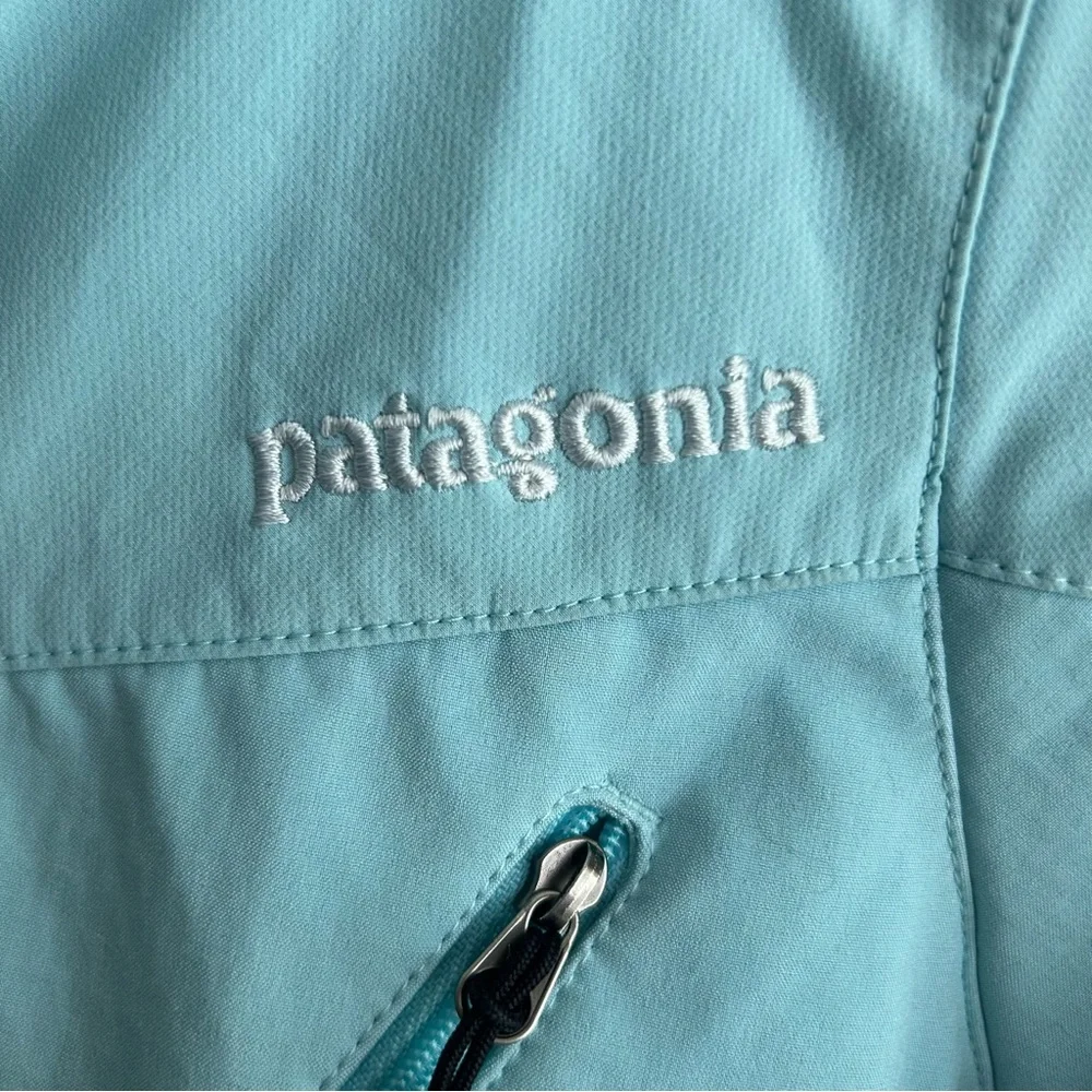 Patagonia mark full