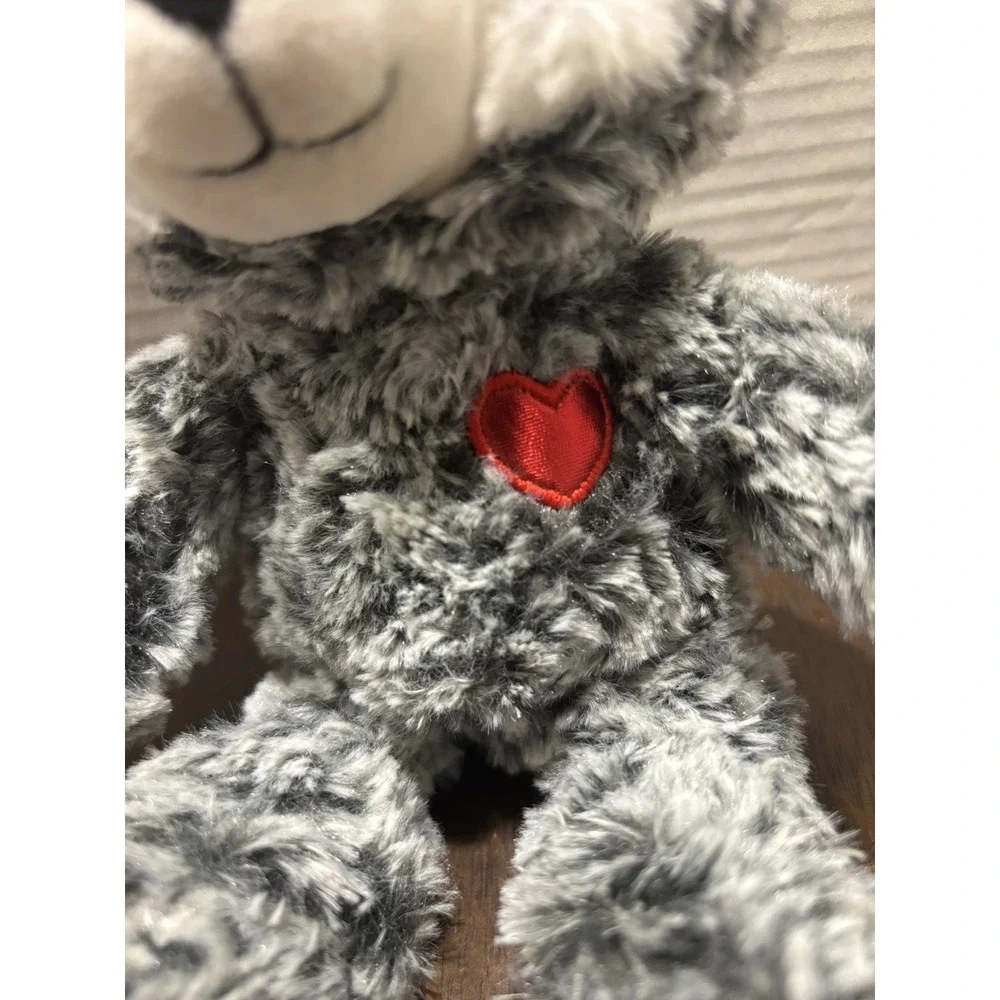 Walmart raccoon valentines