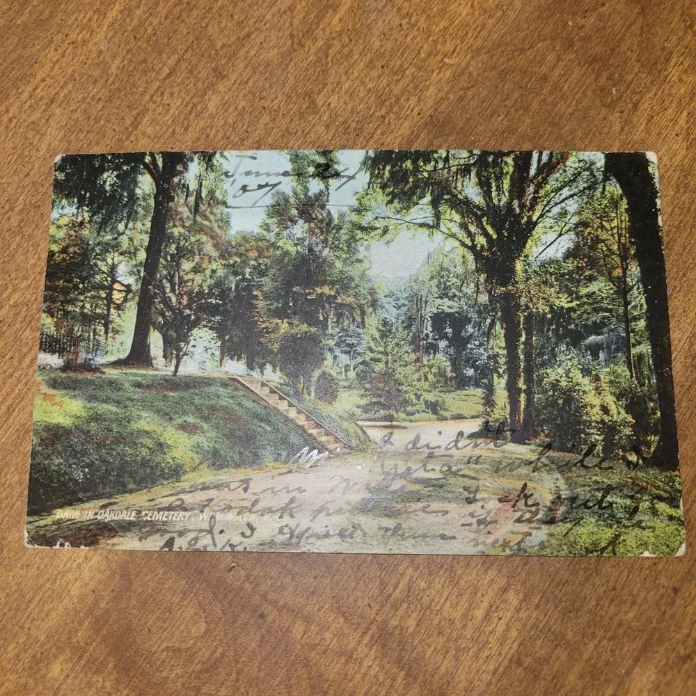 Antique 1907‎ Wilmington NC Oakdale Cemetery Drive Postcard Posted Green 1c...