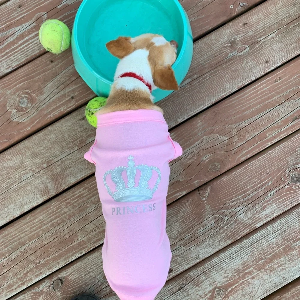 Expawlorer Small Princess T Shirt‎