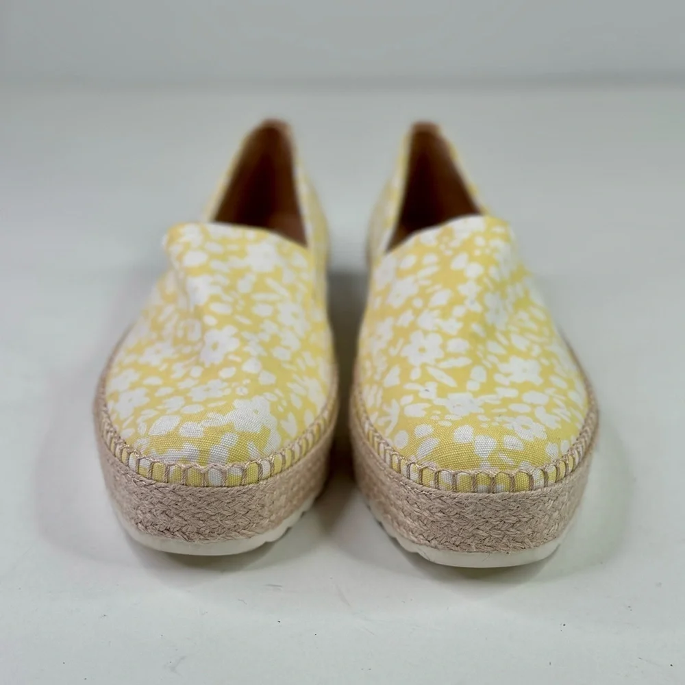 dr scholl