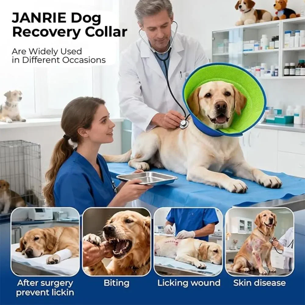 Soft Dog Cone Collar - M