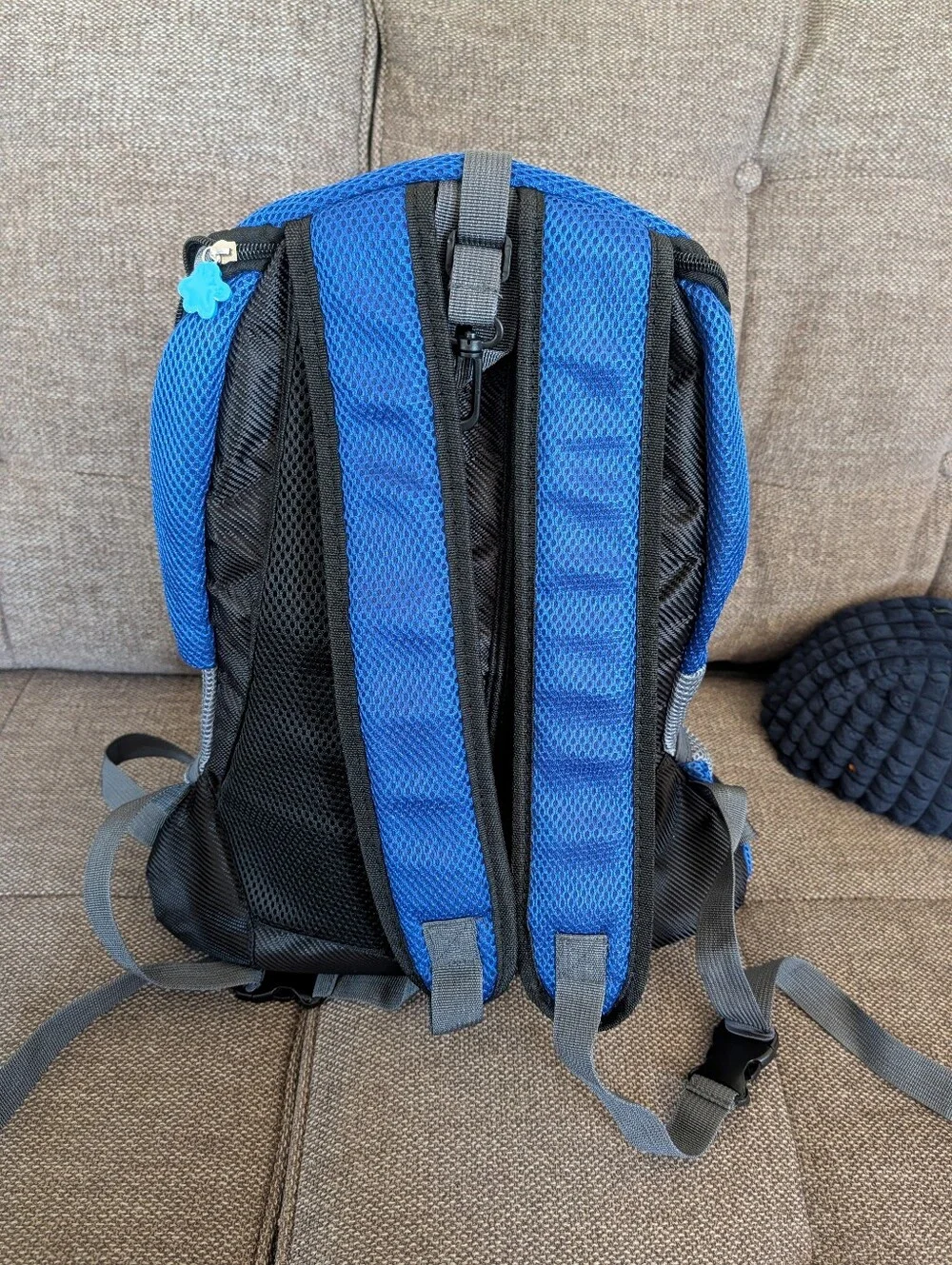 Blue Dog Carrier Backpack - Comfortable Pet Travel Pack