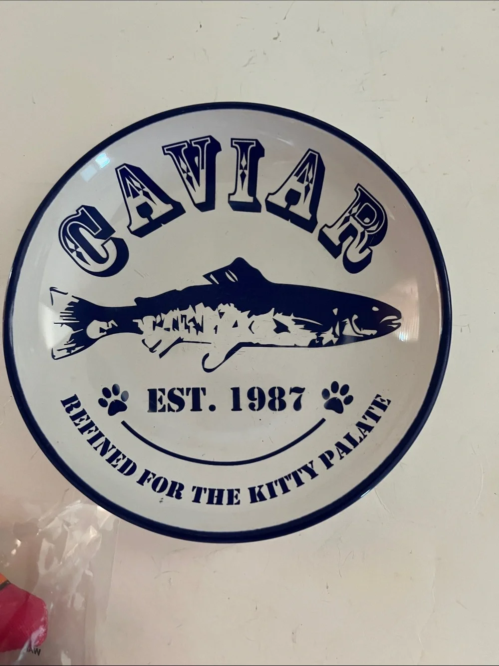 Whisker City caviar cat