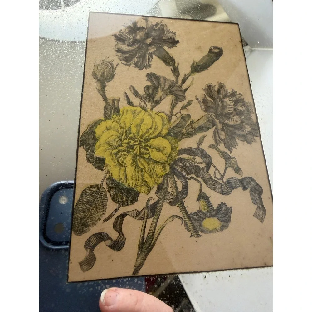 Vintage Botanical Floral Mirror Wall Art Yellow Carnations Rustic READ