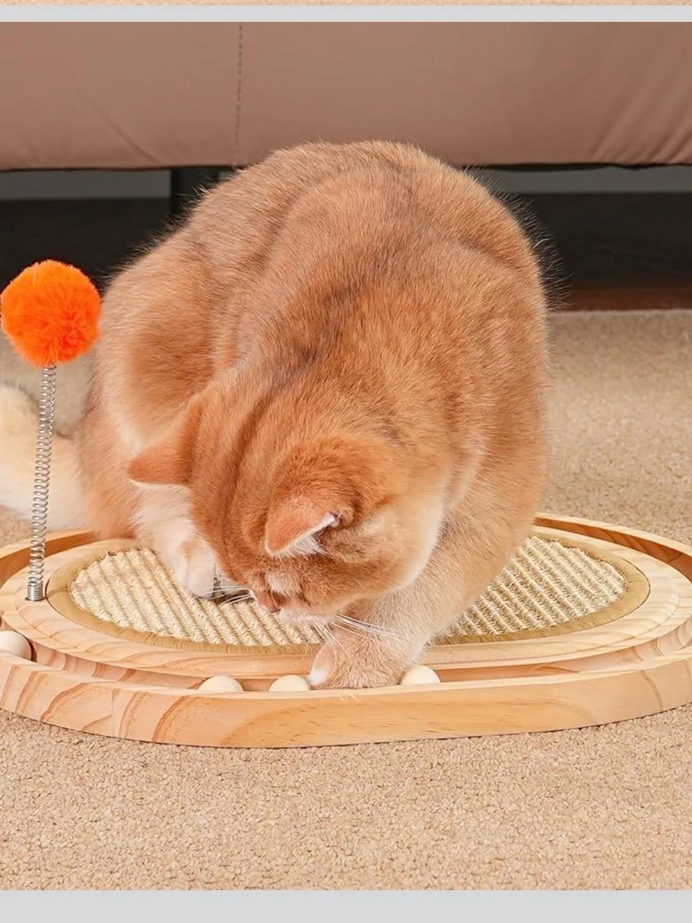 N/A vigormar cat