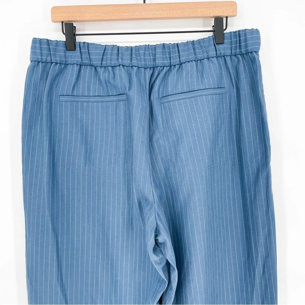NWT Banana Republic Wide-Leg Tencel™-Linen Pull-On Pant in Blue Stripe Large