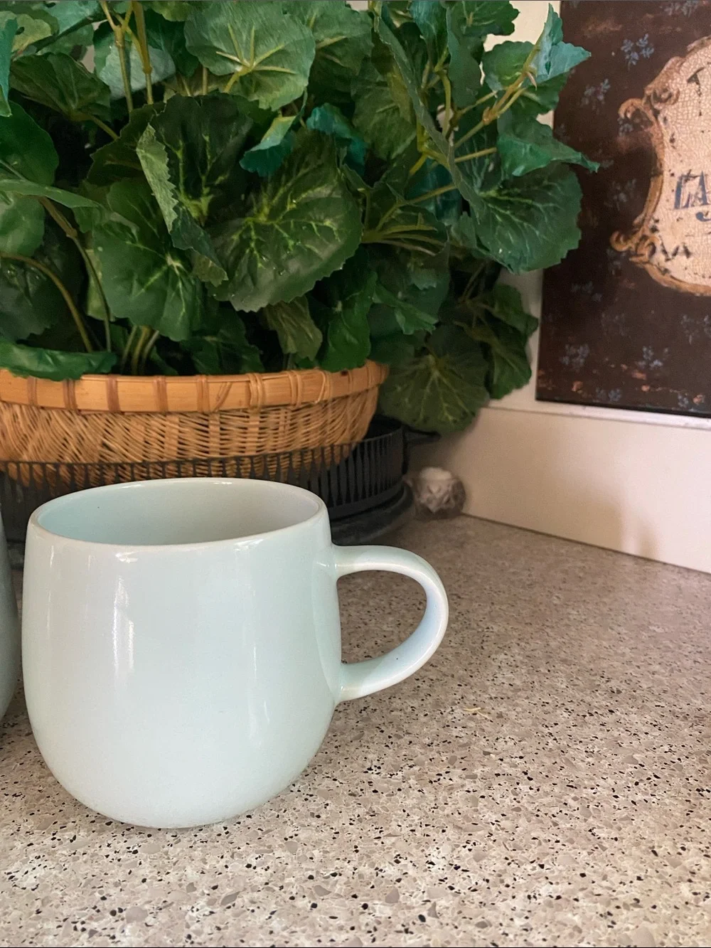Crate&Barrel new without