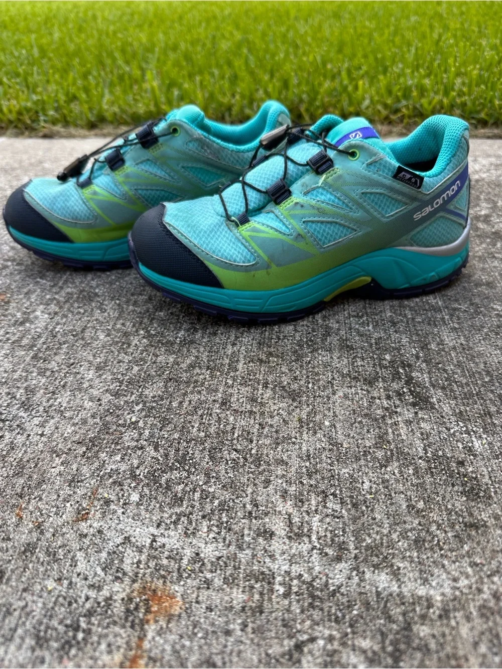 Salomon these shoes