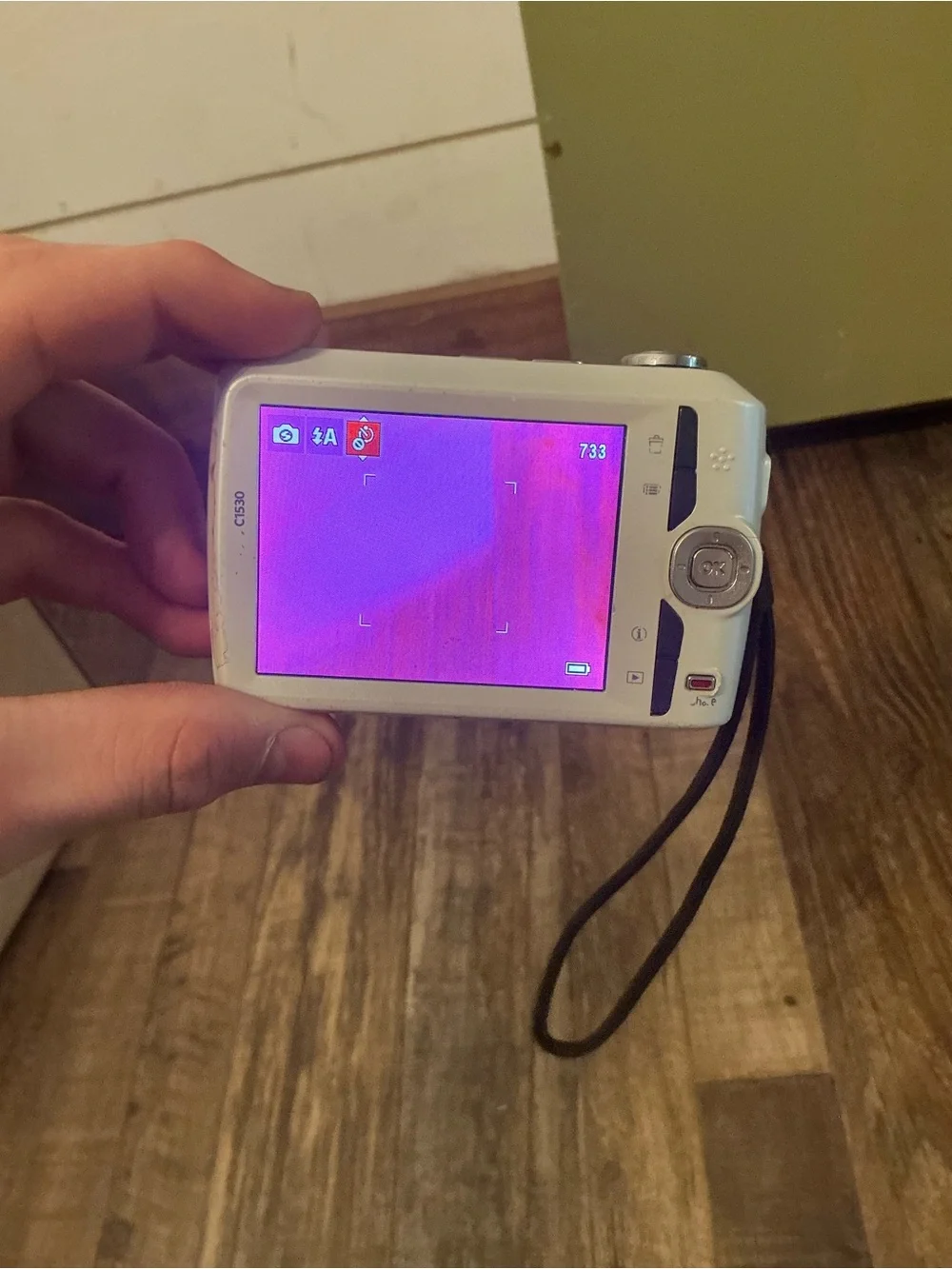 Kodak compact point