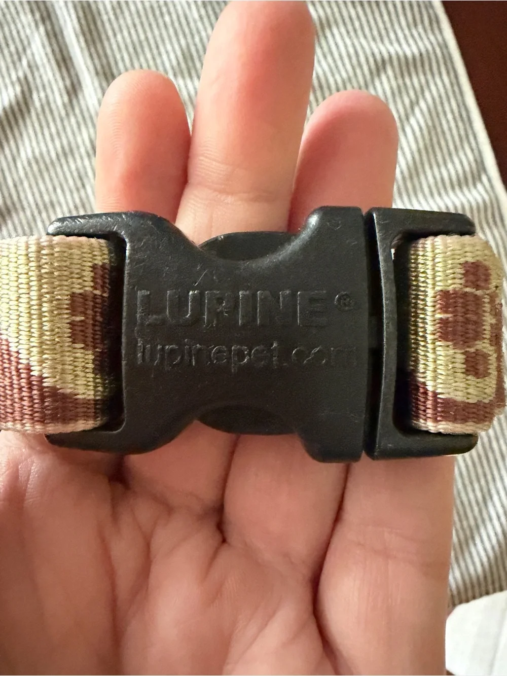 lupine durable adjustable