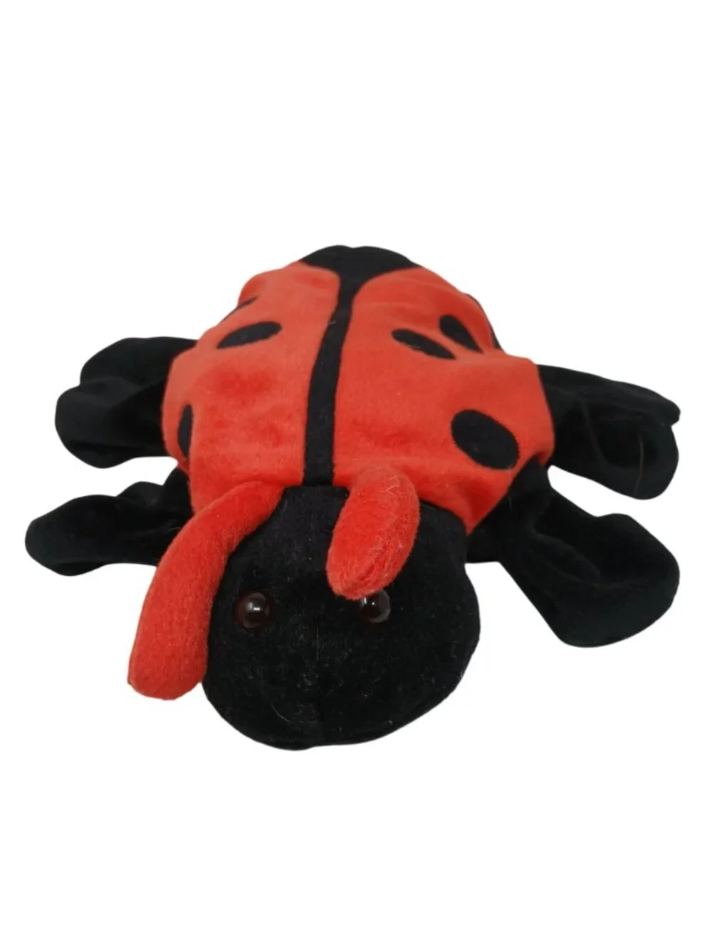 Dream whimsical ladybug