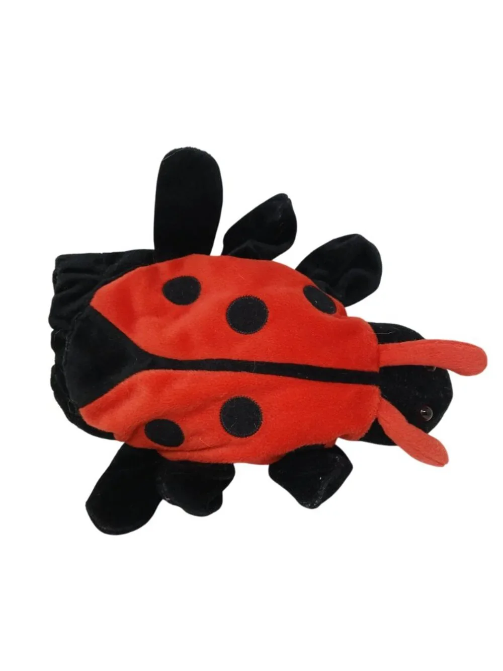 Dream whimsical ladybug