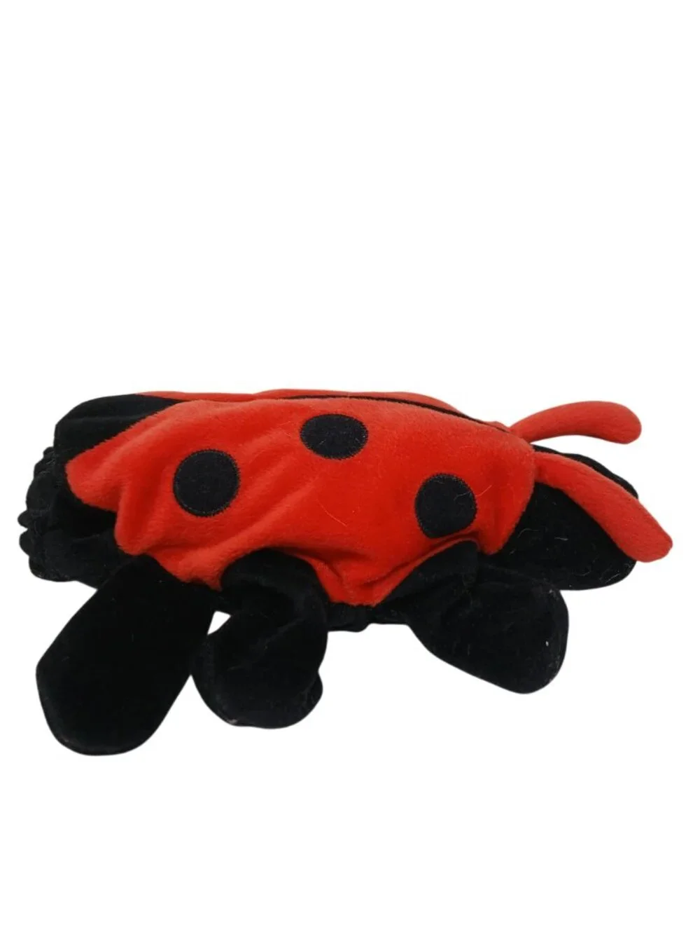 Dream whimsical ladybug