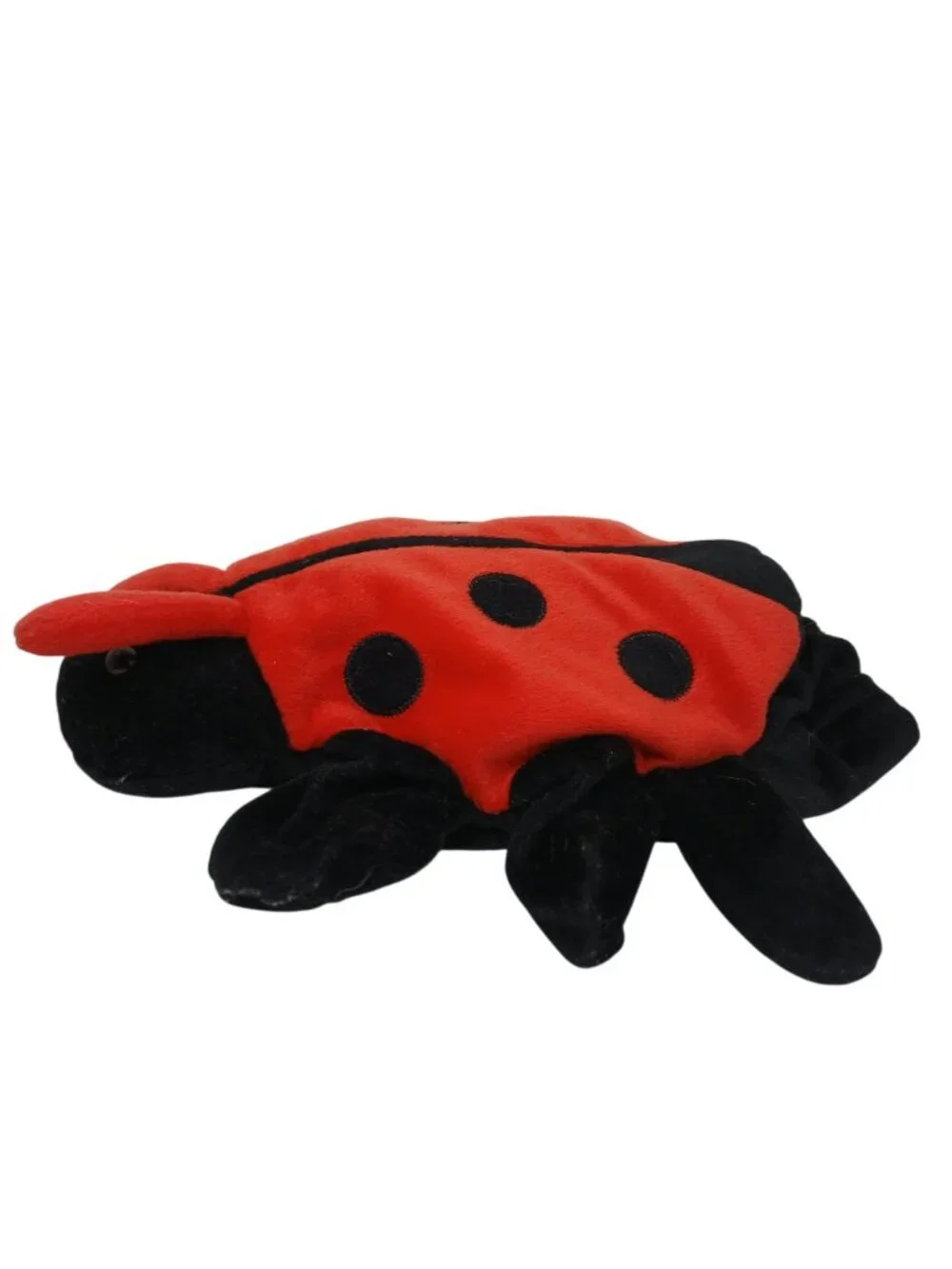 Dream whimsical ladybug