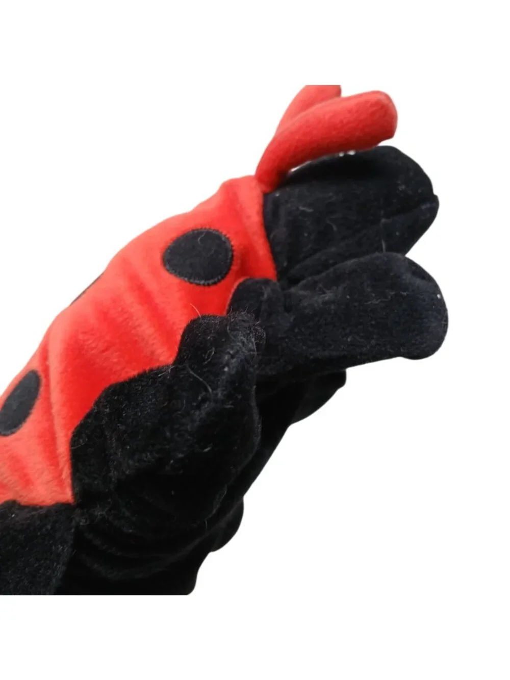 Dream whimsical ladybug